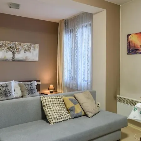 Cosy Studio Spomar - *